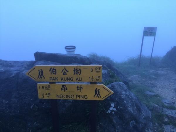 救援受困的长颈鹿